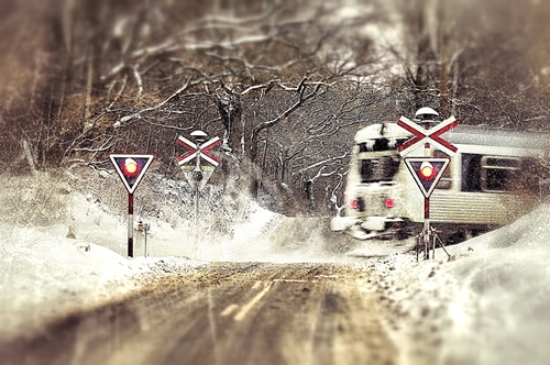 Snow Train